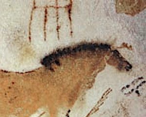 ラスコー洞窟（フランス）の壁画《馬》